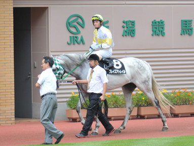 2018/08/26 新潟10R