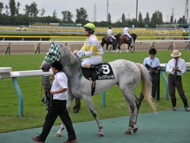 2018/08/26 新潟10R