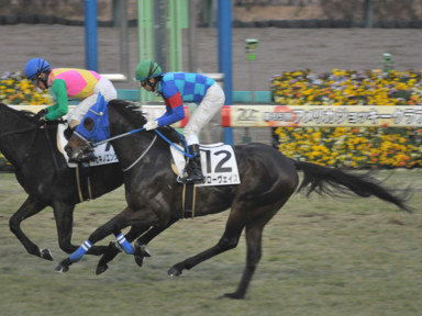 2024/01/20 中山12R