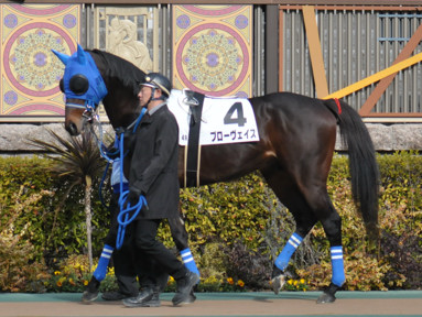 2024/01/28 東京04R