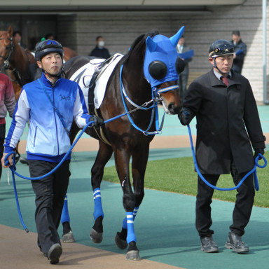 2024/01/28 東京04R