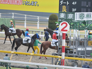 2024/01/28 東京04R