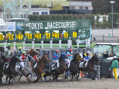 2024/01/28 東京04R