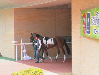 2015/03/22 中京07R