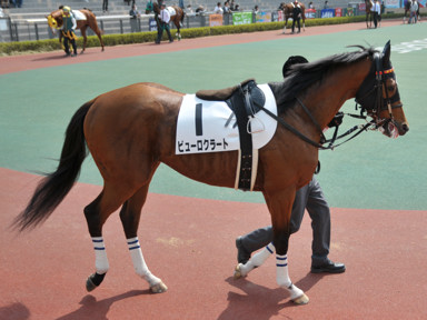 2015/03/22 中京07R