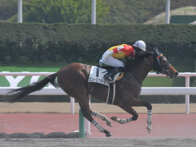 2015/03/22 中京07R