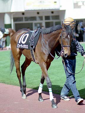 2002/03/30 中山09R