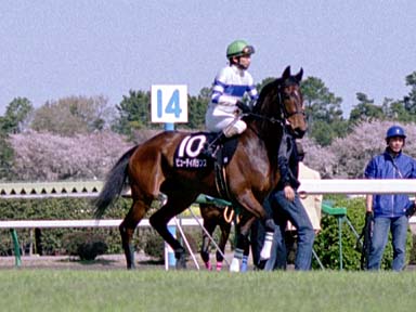 2002/03/30 中山09R