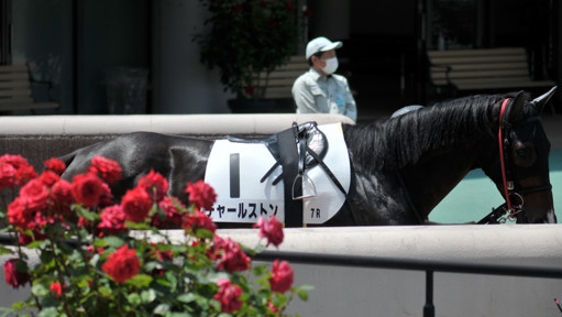 2023/05/21 東京07R