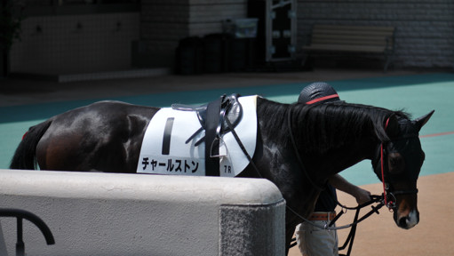 2023/05/21 東京07R