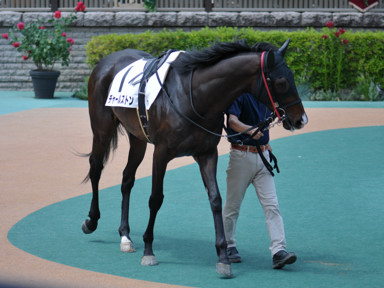 2023/05/21 東京07R