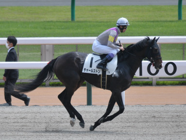 2023/05/21 東京07R
