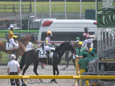 2023/06/25 東京08R