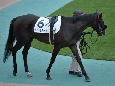 2023/10/08 東京07R