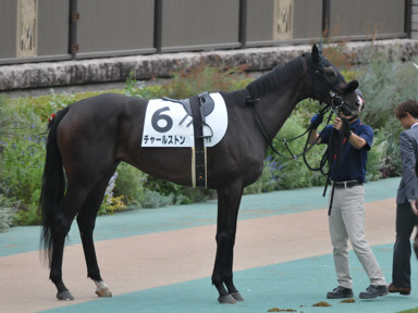 2023/10/08 東京07R