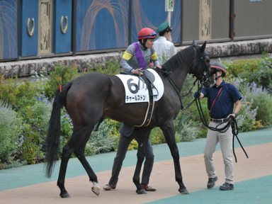2023/10/08 東京07R