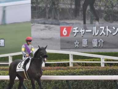 2023/10/08 東京07R