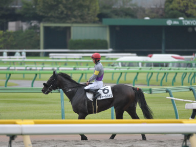 2023/10/08 東京07R