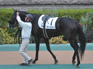 2023/11/12 東京06R