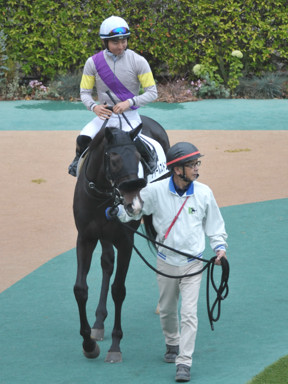 2023/11/12 東京06R