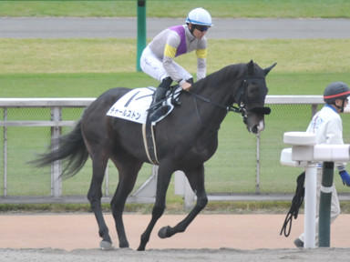 2023/11/12 東京06R