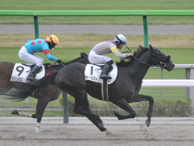 2023/11/12 東京06R