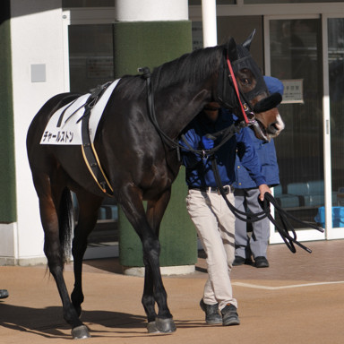 2023/12/09 中山08R