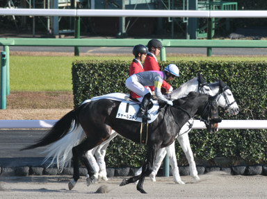 2023/12/09 中山08R