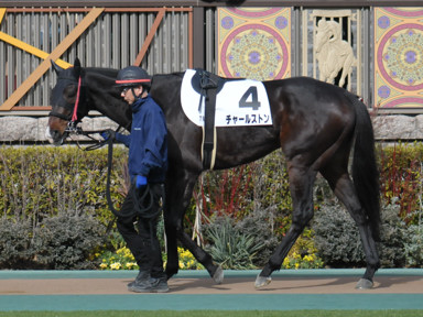 2024/01/28 東京07R