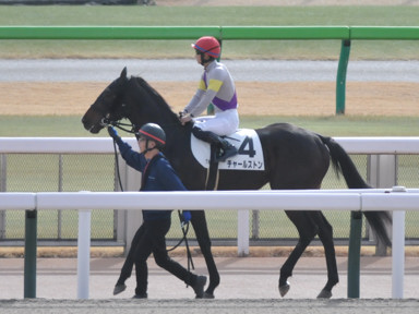 2024/01/28 東京07R