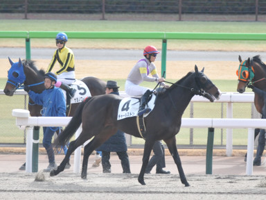 2024/01/28 東京07R