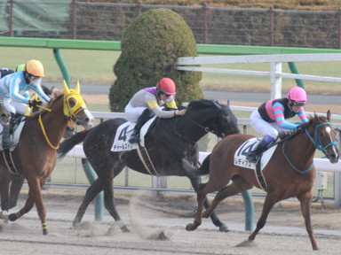 2024/01/28 東京07R