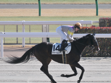 2024/02/03 東京08R