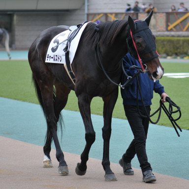 2024/02/17 東京12R