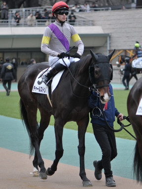 2024/02/17 東京12R