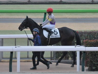 2024/02/17 東京12R