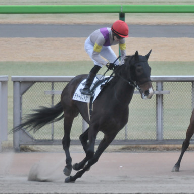 2024/02/17 東京12R