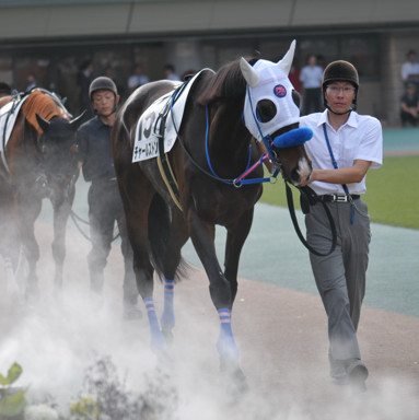 2024/06/01 東京12R