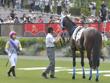 2024/06/01 東京12R