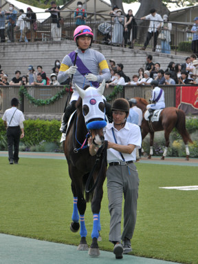 2024/06/01 東京12R
