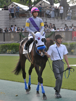2024/06/01 東京12R