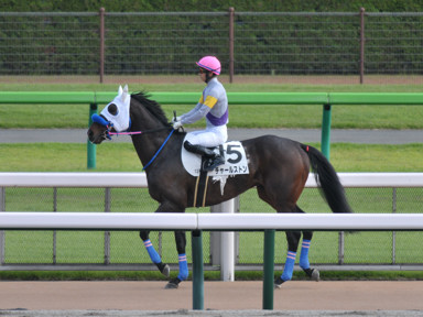 2024/06/01 東京12R