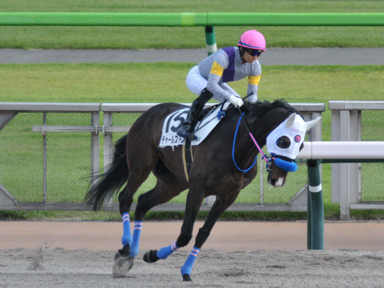2024/06/01 東京12R
