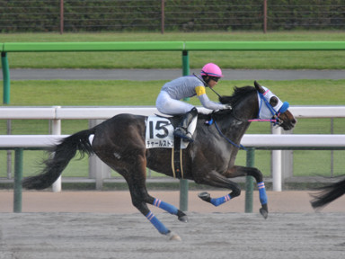 2024/06/01 東京12R