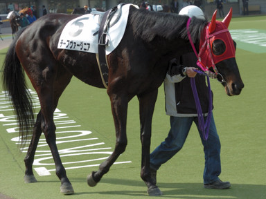 2009/02/15 東京08R