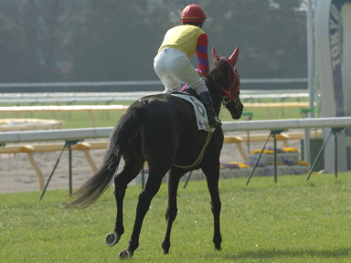 2009/02/15 東京08R