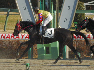 2010/01/23 中山07R