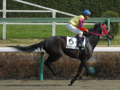 2010/03/13 中山08R