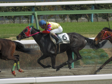 2010/03/13 中山08R