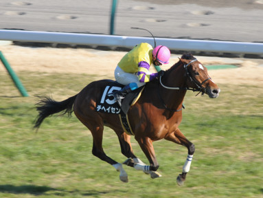 2014/01/19 中京10R